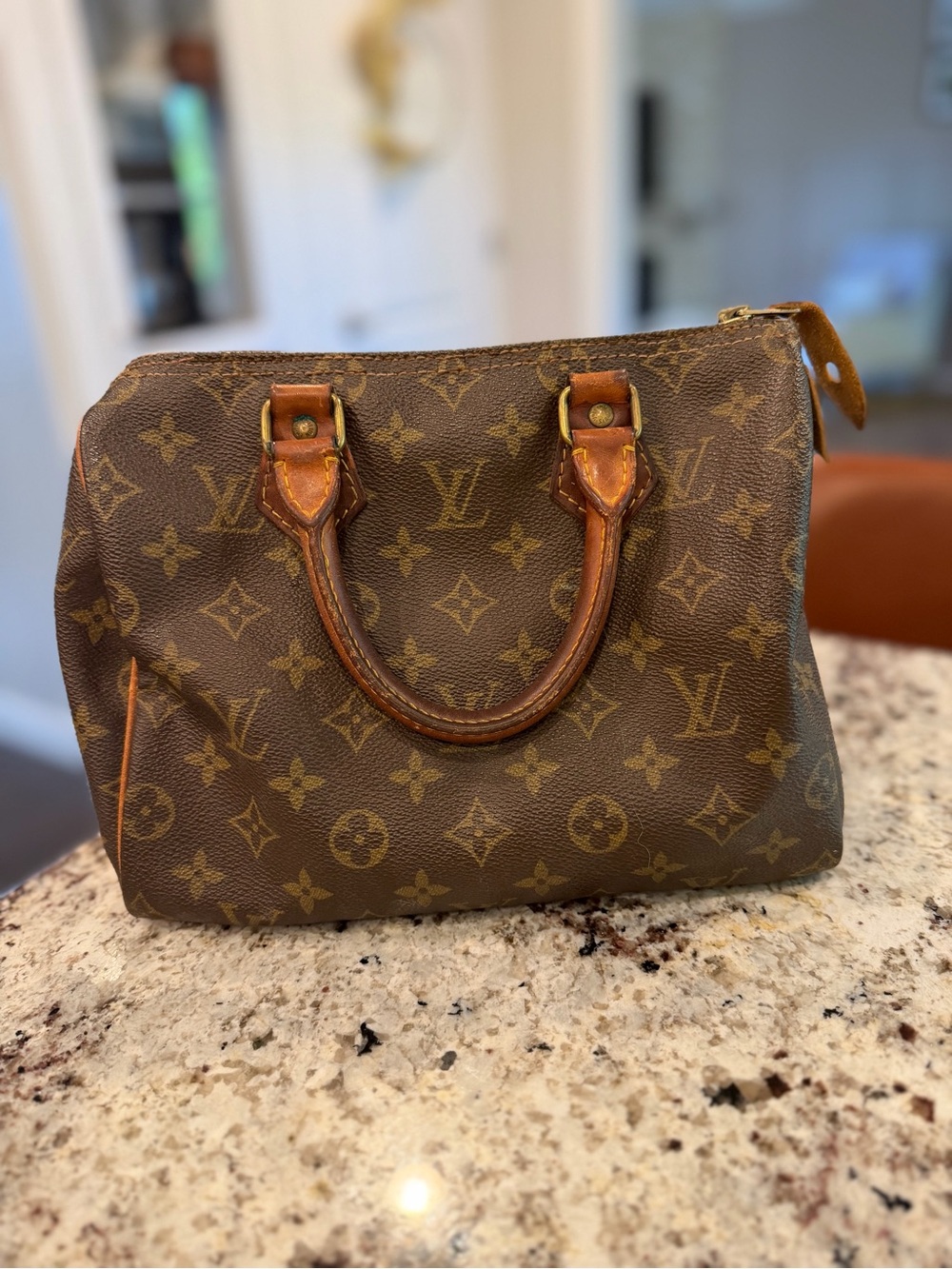 Louis Vuitton Speedy 25
